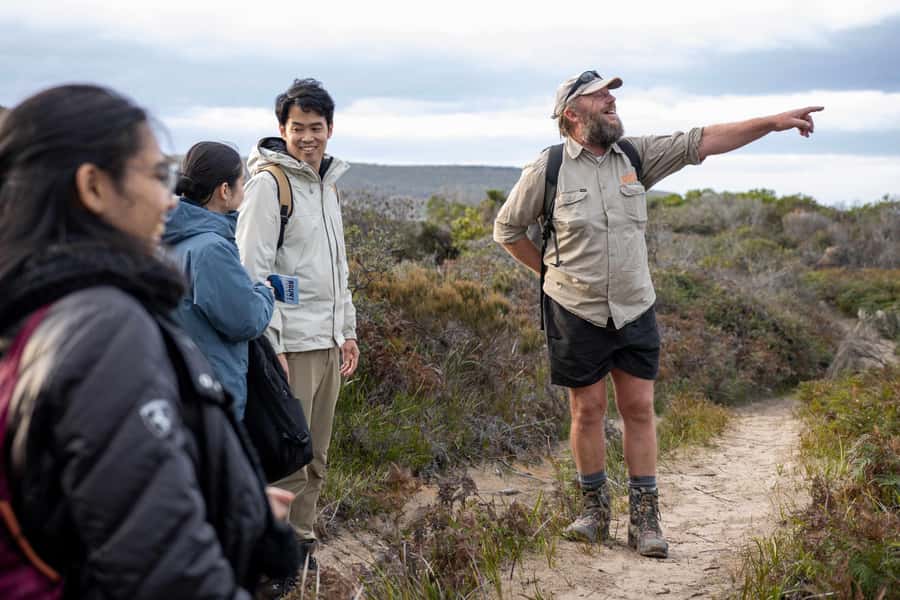 From Hobart: Bruny Island Nature & Produce Adventure Tour - Why Bruny Island Works Best as a Long Day