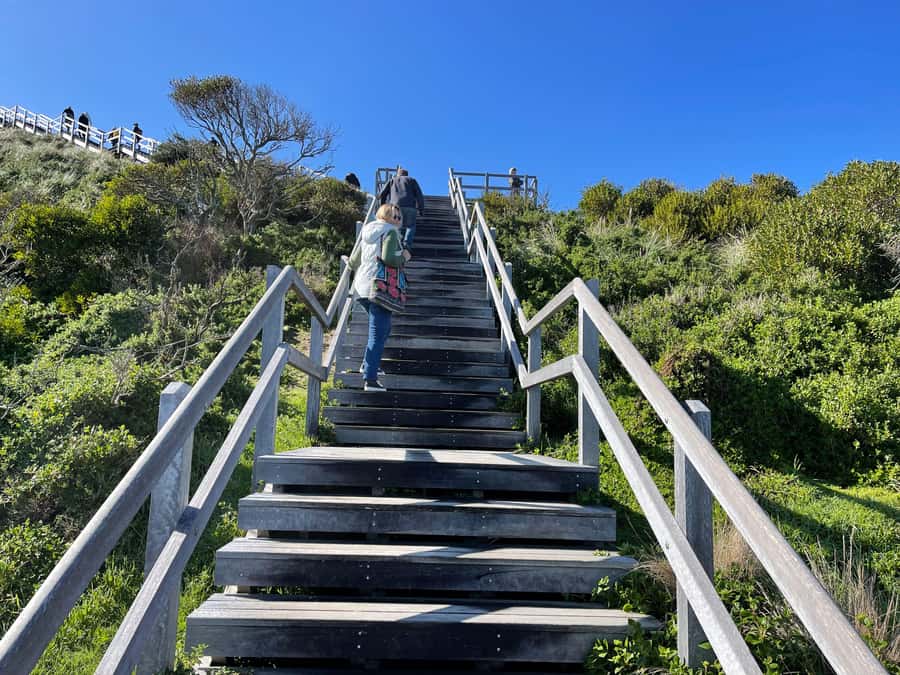 From Hobart: Bruny Island Nature & Produce Adventure Tour - The Cape Queen Elizabeth Trail to Bruny Arch