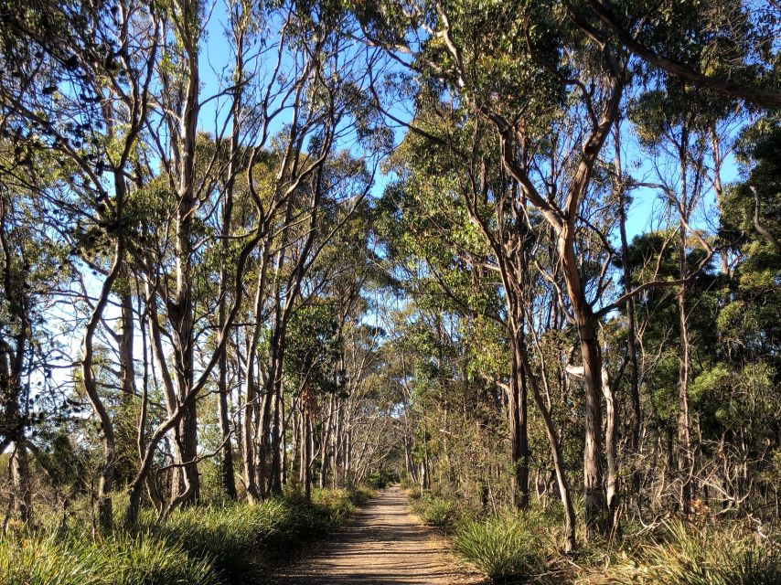 From Hobart: Bruny Island Nature & Produce Adventure Tour - Guides, Group Size, and the Feel of the Day
