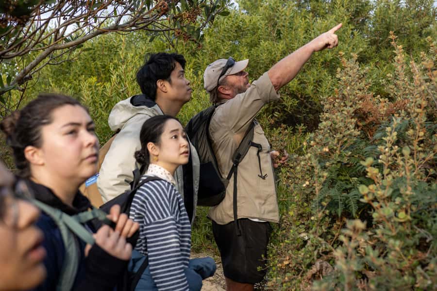 From Hobart: Bruny Island Nature & Produce Adventure Tour - Who Should Book This Bruny Island Tour?
