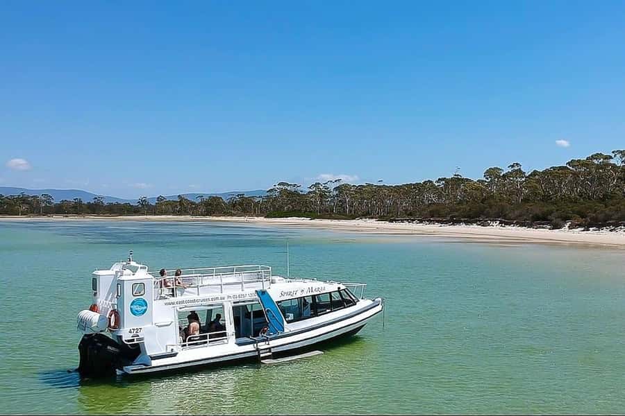 From Hobart: Day Tour to Maria Island with Bus Connection - Why the boat is the best part of Maria Island