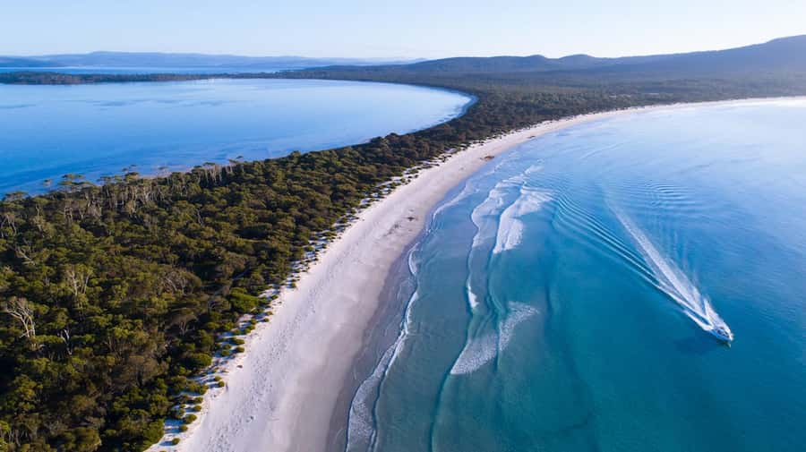 From Hobart: Day Tour to Maria Island with Bus Connection - Is the $230 price fair?