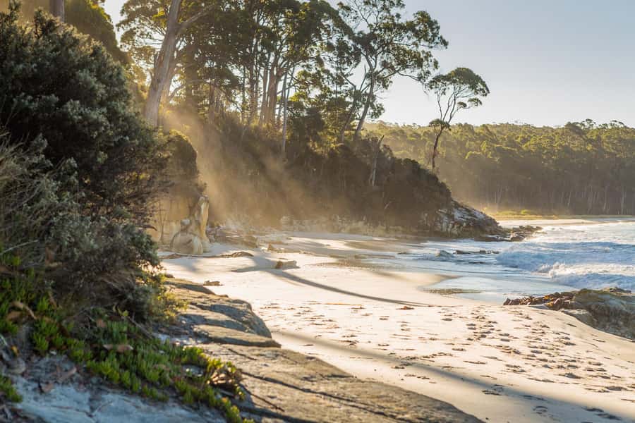 From Hobart: Full-Day Bruny Island Tour with Guide - Why Bruny Island works as a full-day trip