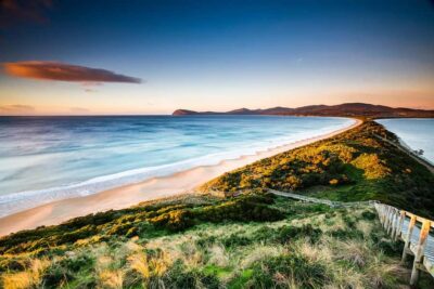 Full-Day Bruny Island Tour with Guide
