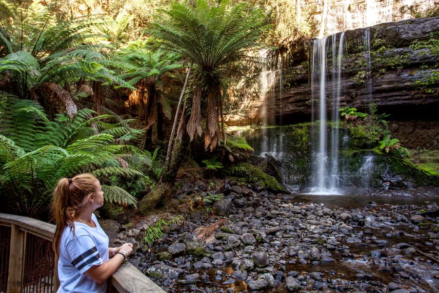 From Hobart: Mt. Field, Mt. Wellington and Wildlife Day Tour - Who will get the most from this day tour