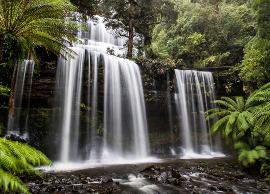 From Hobart: Mt. Field National Park and Russell Falls - Fifteen minutes in New Norfolk