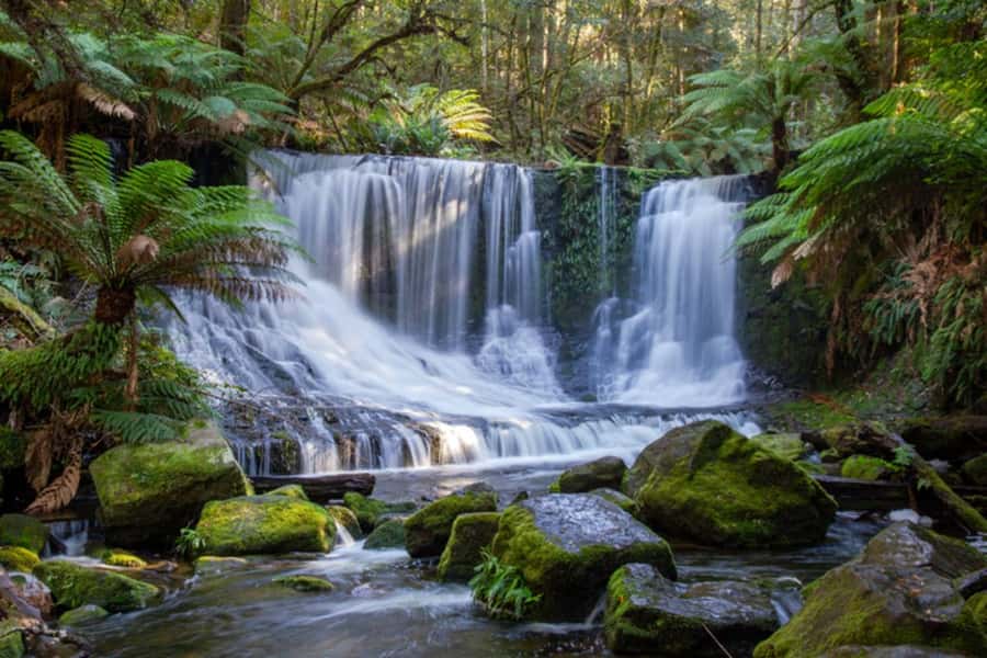 From Hobart: Mt. Field National Park and Russell Falls - Bushy Park and the road toward Mt. Field