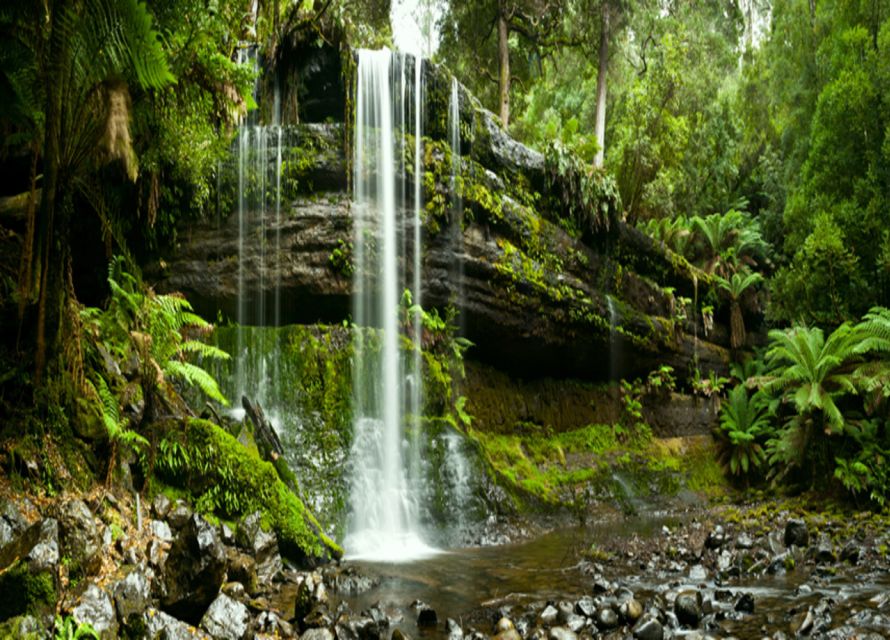 From Hobart: Mt. Field National Park and Russell Falls - A possible raspberry stop
