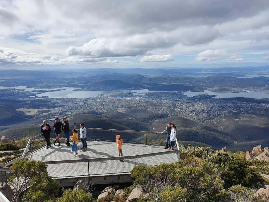 From Hobart: Mt Wellington Pinnacle 2 Hour Small Group Tour - Fern Tree and the cool forest road