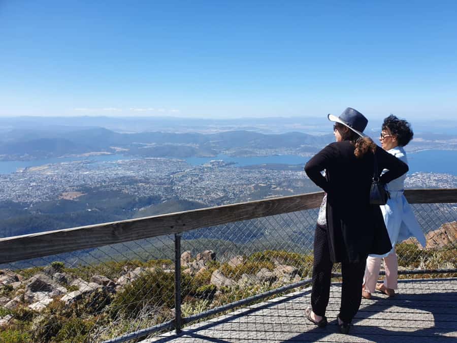 From Hobart: Mt Wellington Pinnacle 2 Hour Small Group Tour - Snow gums, banksias, and the Chalet