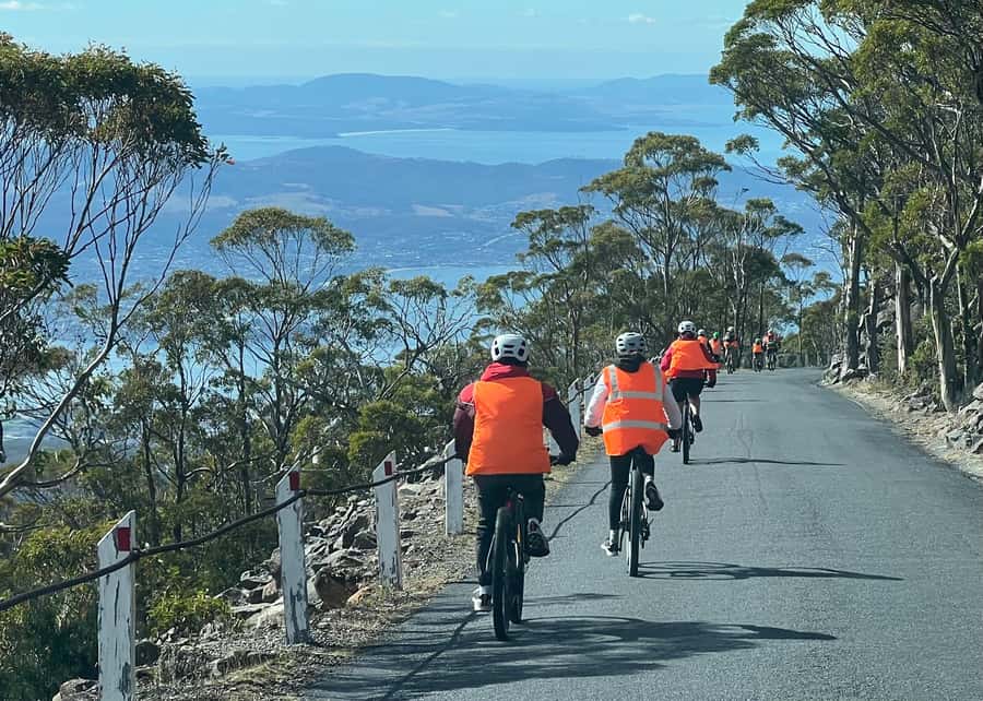 From Hobart: Mt Wellington Summit & Rainforest Bike Tour - Key points at a glance