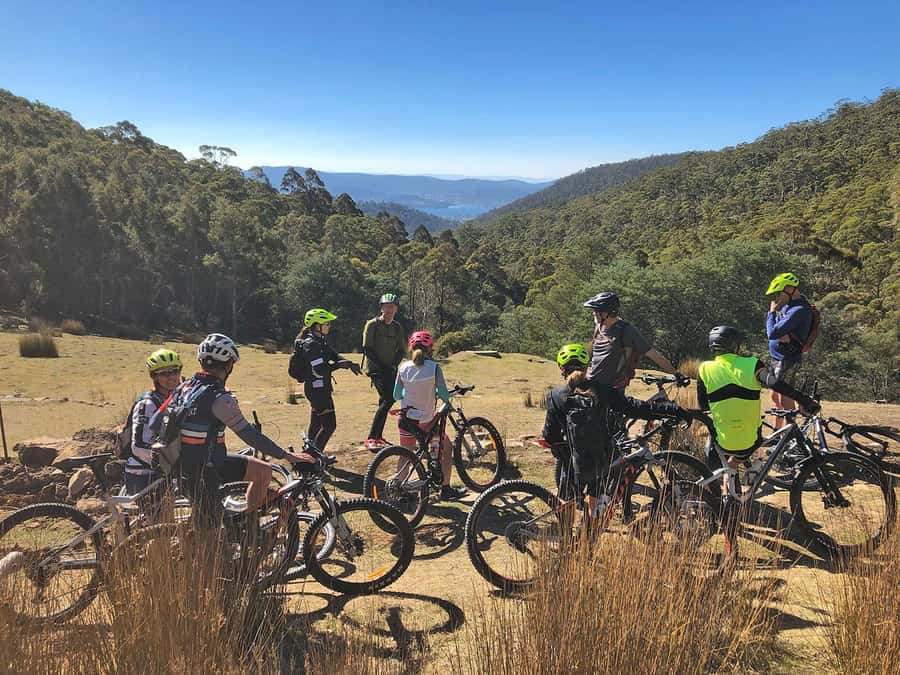 From Hobart: Mt Wellington Summit & Rainforest Bike Tour - From Hobart streets to a mountain summit