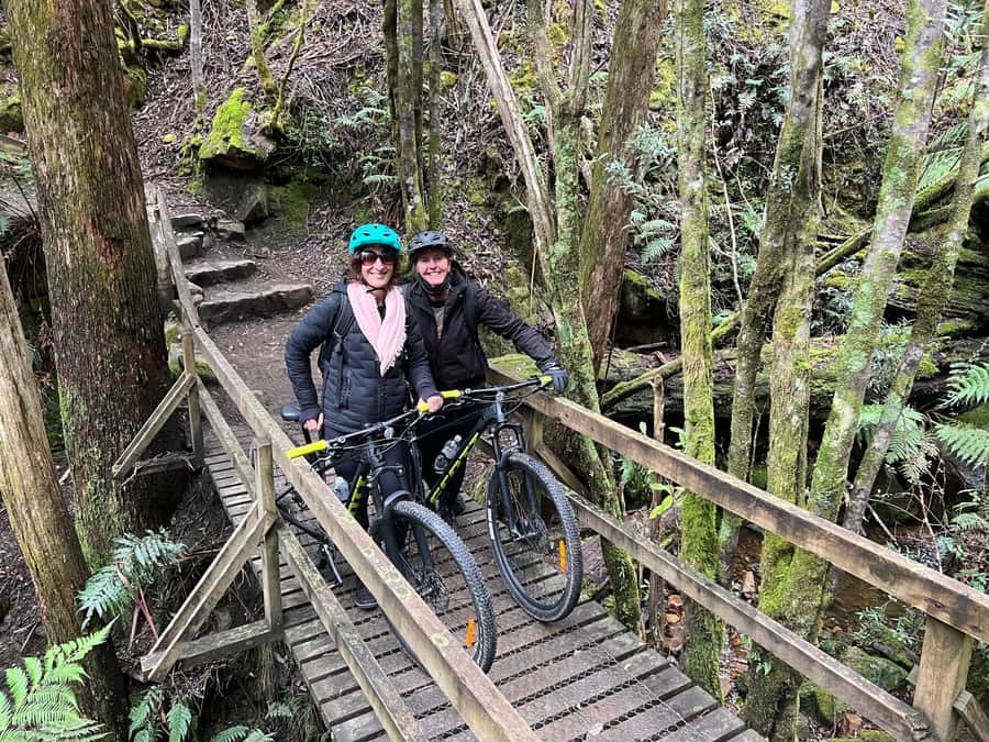 From Hobart: Mt Wellington Summit & Rainforest Bike Tour - Wildlife, water, and the value of a local guide