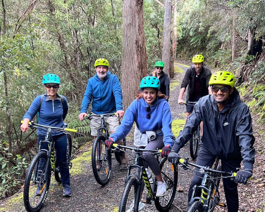 From Hobart: Mt Wellington Summit & Rainforest Bike Tour - What the $119 price really covers