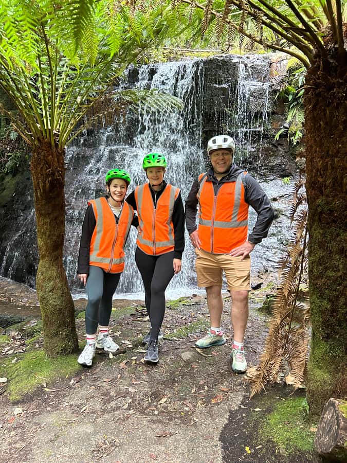 From Hobart: Mt Wellington Summit & Rainforest Bike Tour - The 6-kilometre descent from kunanyi / Mt Wellington