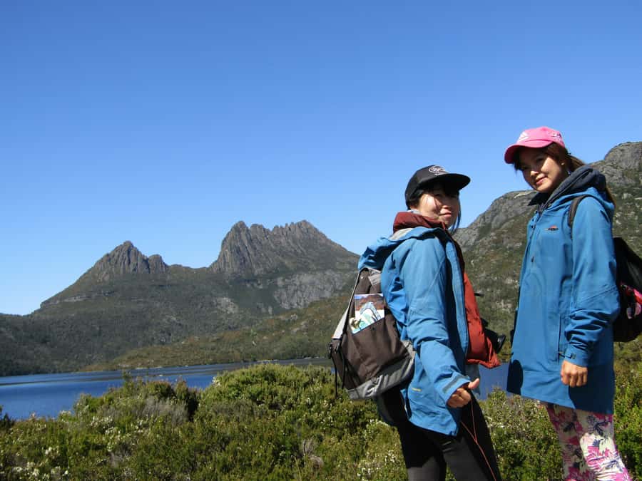 From Launceston: Cradle Mountain - Active Day Tour - Pencil Pine Falls and the Rainforest City tracks