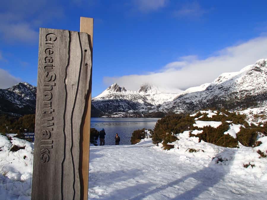 From Launceston: Cradle Mountain - Active Day Tour - Wombats add an unexpected highlight