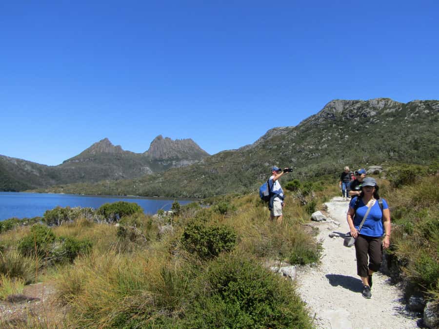 From Launceston: Cradle Mountain - Active Day Tour - Ice cream and raspberries finish the day