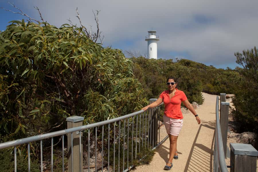 From Launceston: Full-Day Wineglass Bay Explorer Active Tour - Key points at a glance