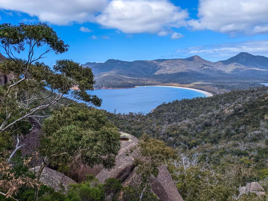 From Launceston: Full-Day Wineglass Bay Explorer Active Tour - Sleepy Bay and the coastal stops round out the park