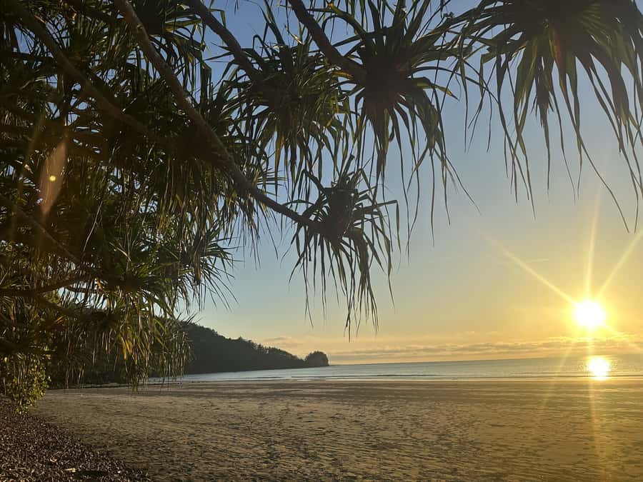 From Mackay: Wallabies on the Beach Sunrise Trip - What the $91 price really buys you
