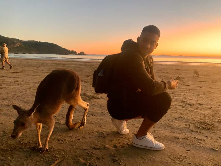 From Mackay: Wallabies on the Beach Sunrise Trip - The early Mackay pickup and one-hour drive