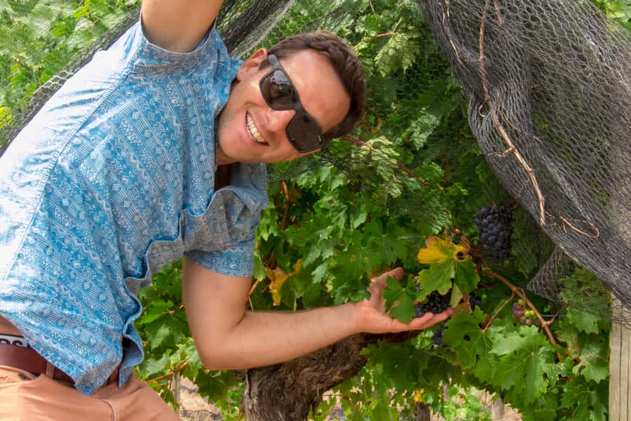 From Margaret River: Margaret River Wine Adventure - A proper pizza lunch at the right point in the day