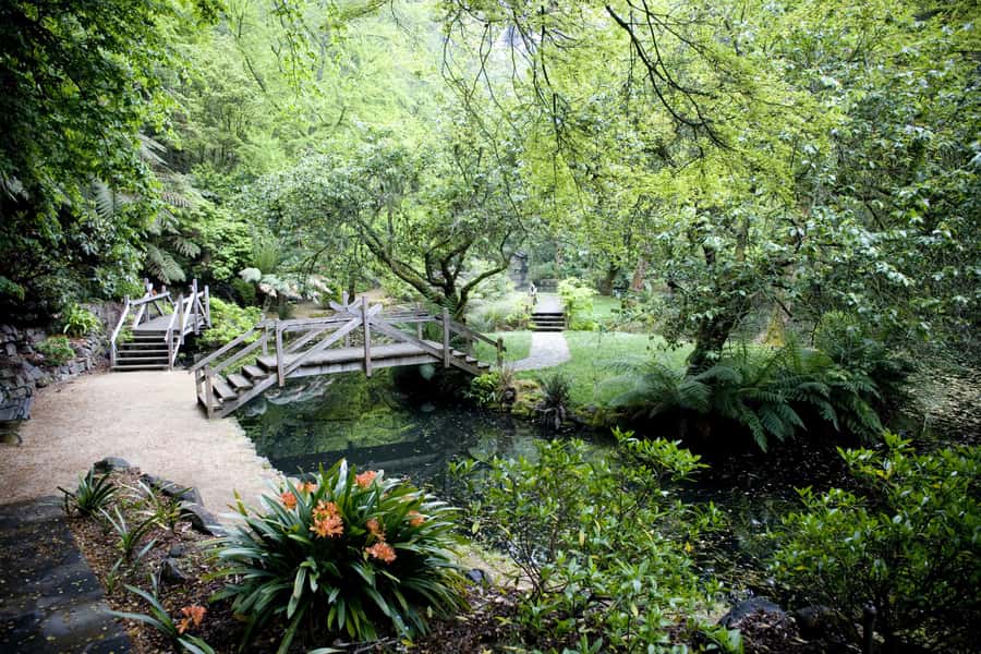 From Melbourne: Dandenong Ranges Private Day Tour - Key points to know before you book