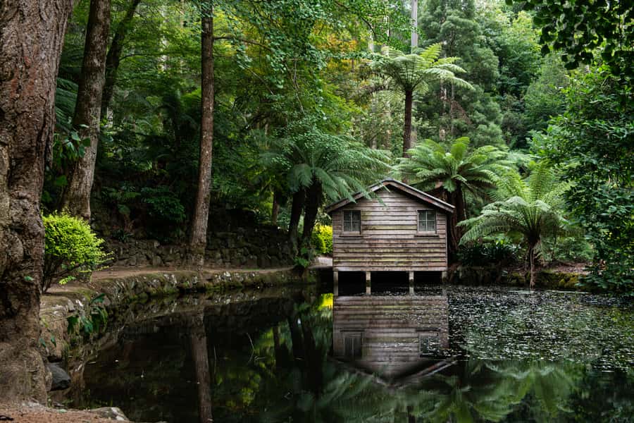 From Melbourne: Dandenong Ranges Private Day Tour - Leaving Melbourne for the Dandenong Ranges