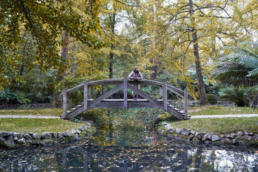 From Melbourne: Dandenong Ranges Private Day Tour - Alfred Nicholas Gardens and its Japanese lake