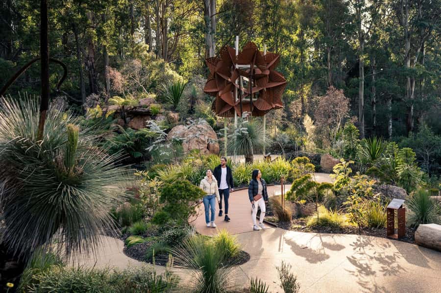 From Melbourne: Dandenong Ranges Private Day Tour - Chelsea Australian Garden at the botanic gardens