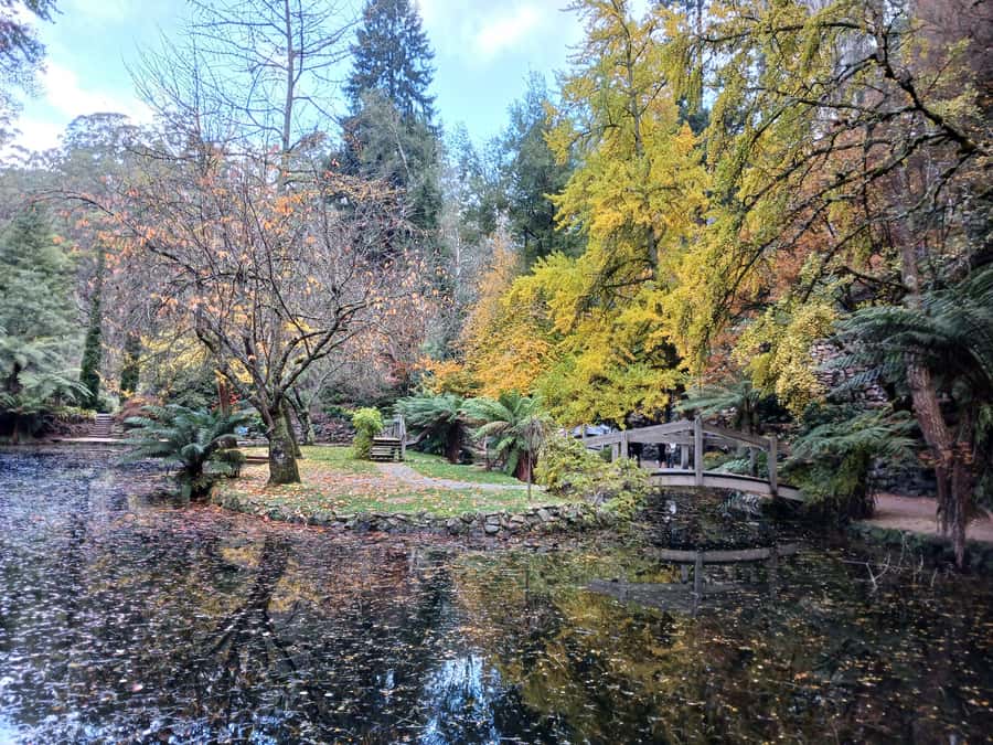 From Melbourne: Dandenong Ranges Private Day Tour - Practical planning for weather, meals, and timing