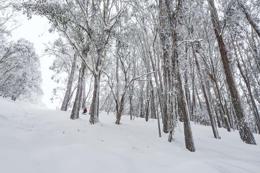 From Melbourne: Day Tour to Mt Buller with Snow Clothes - How the day suits different kinds of visitors