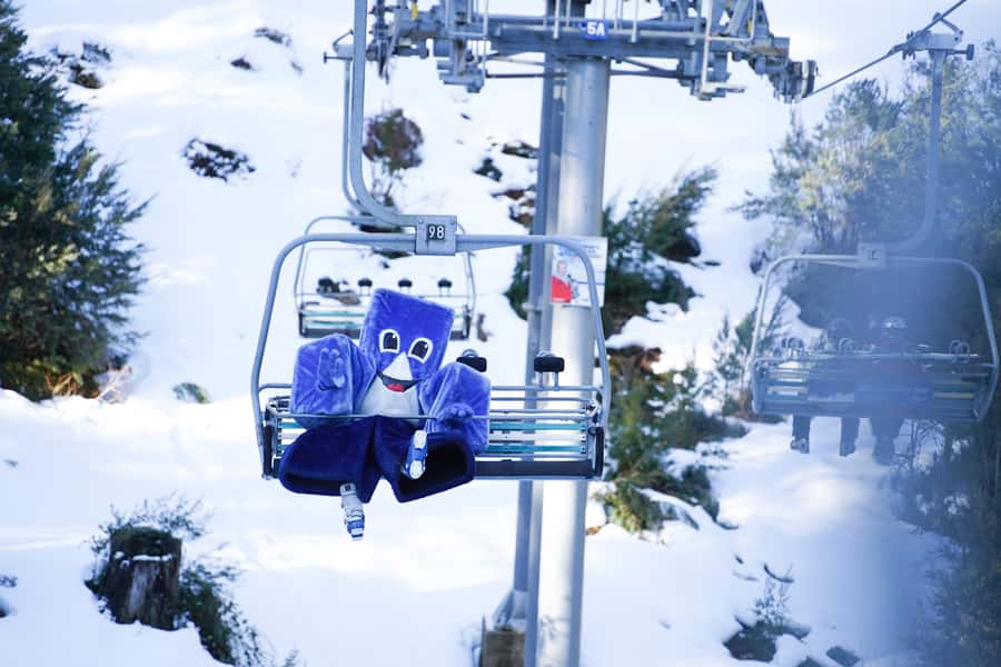 From Melbourne: Day Trip to Mt Buller by Premium Tour Coach - A snow day without the mountain drive