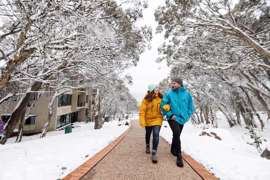 From Melbourne: Day Trip to Mt Buller by Premium Tour Coach - Six hours sounds generous, and sometimes it is