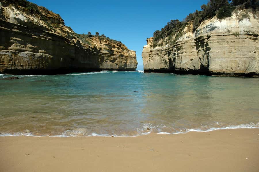 From Melbourne: Great Ocean Road, 12 Apostles, Wildlife Tour - Cape Patton and Apollo Bay