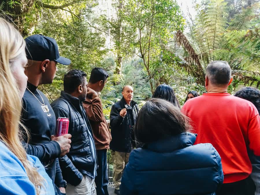 From Melbourne: Great Ocean Road, 12 Apostles, Wildlife Tour - Morning tea before the rainforest