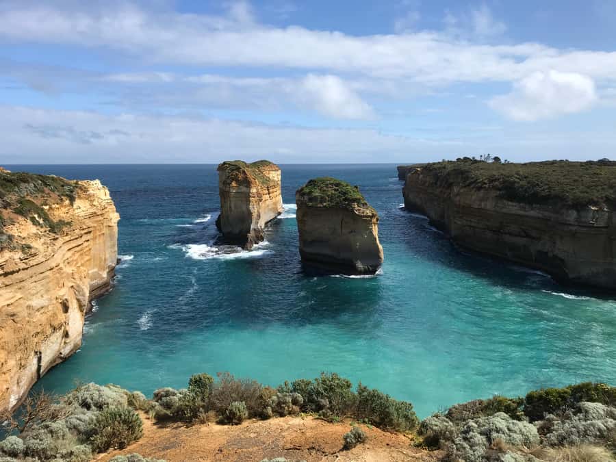 From Melbourne: Great Ocean Road Boutique Tour in Reverse - Finding koalas, kangaroos, and parrots