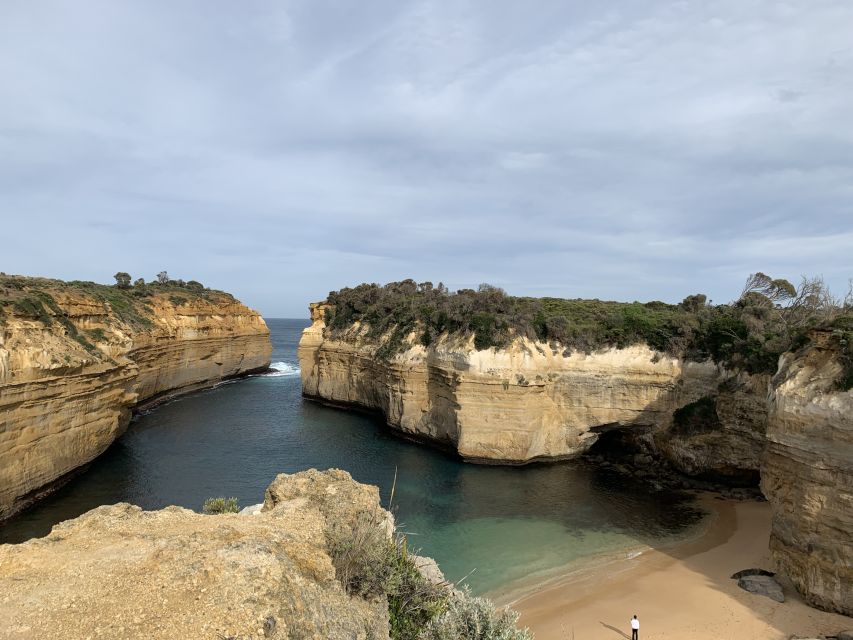 From Melbourne: Great Ocean Road Day Tour - Lunch, timing, and the practical side of the day