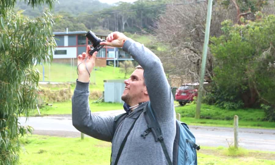 From Melbourne: Great Ocean Road Full-Day Sunset Tour - Anglesea and the first coastal pause
