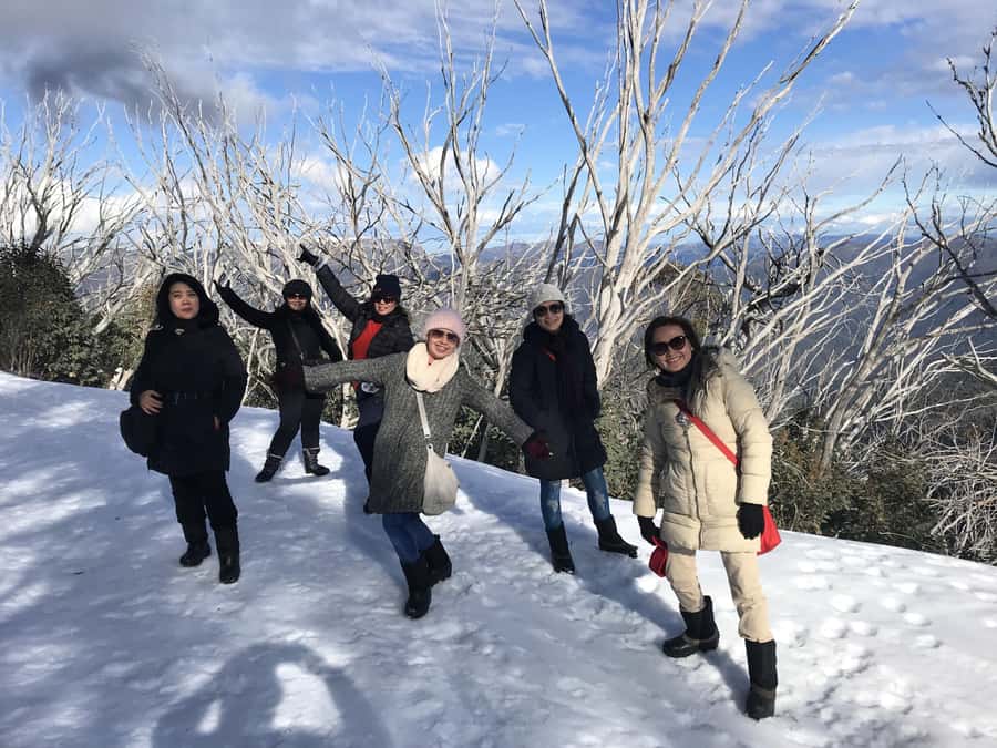 From Melbourne: Mt Buller Snow Day Small Group Boutique Tour - Why this Mt Buller day trip works