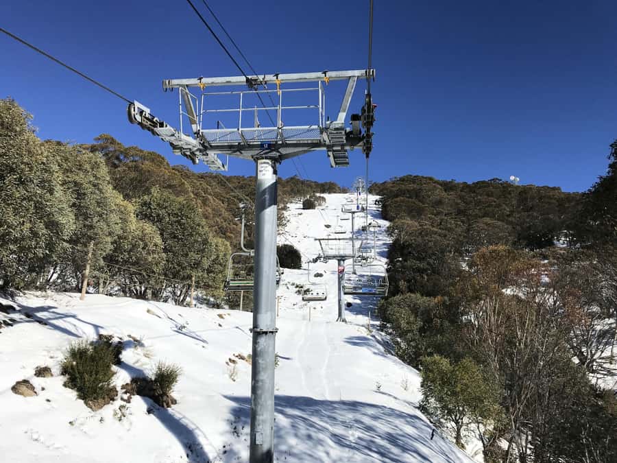 From Melbourne: Mt Buller Snow Day Small Group Boutique Tour - Mt Buller Village for lunch and a break