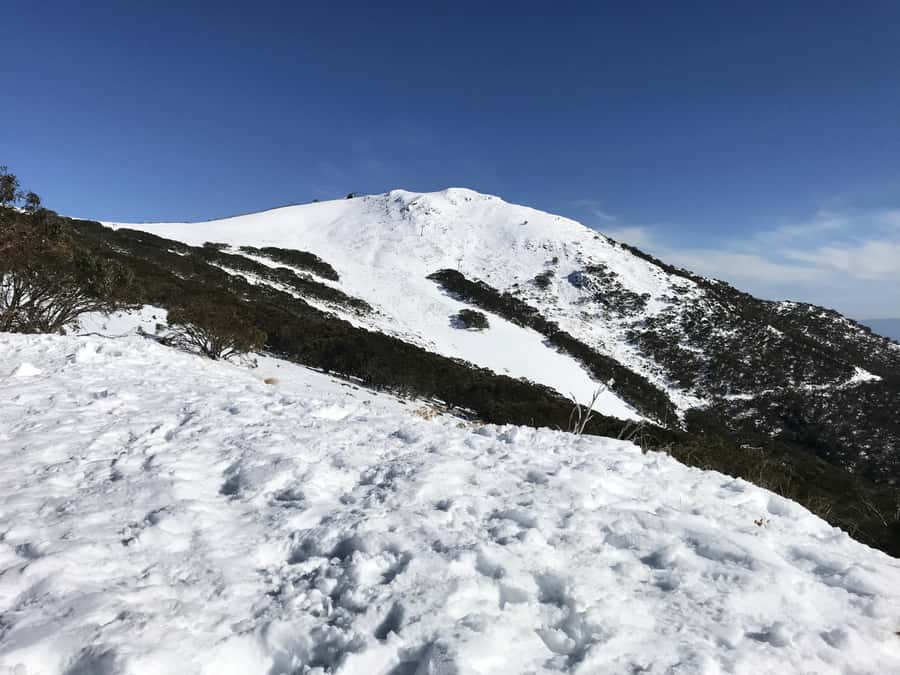 From Melbourne: Mt Buller Snow Day Small Group Boutique Tour - The Village Circuit Track