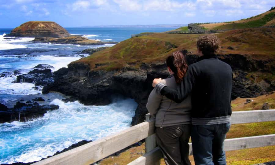 From Melbourne: Penguin Parade Afternoon Tour - Is $95 a fair price?