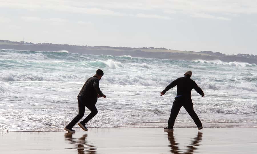 From Melbourne: Penguin Parade Afternoon Tour - Who will enjoy this Phillip Island trip?