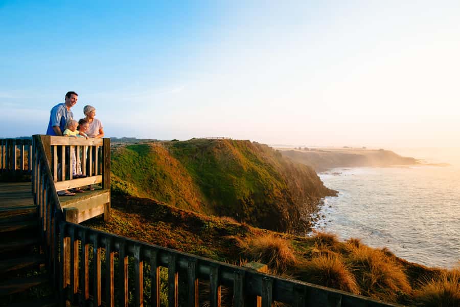 From Melbourne: Penguin Parade and Koalas Tour - Why the little penguins make this trip worthwhile