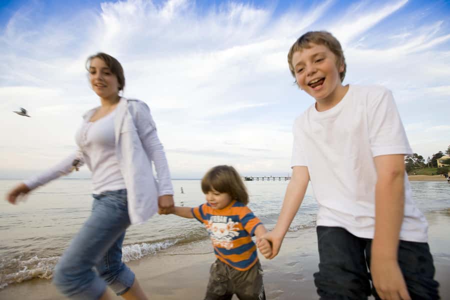 From Melbourne: Penguin Parade and Koalas Tour - Who will enjoy this most?