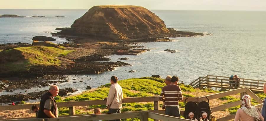 From Melbourne: Penguin Parade, Koalas & Kangaroos - The Nobbies Boardwalk and the southern coast
