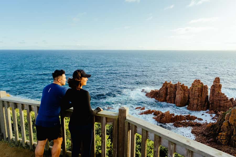 From Melbourne: Phillip Is Penguin Parade & Koala Reserve - An hour with koalas at the conservation reserve