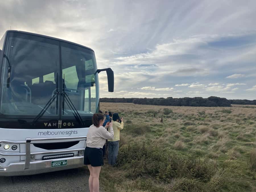 From Melbourne: Phillip Is Penguin Parade & Koala Reserve - What the 11-hour schedule feels like